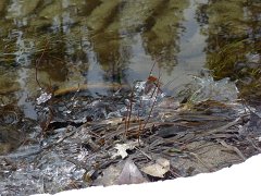 20110220-21_Yosemite 138